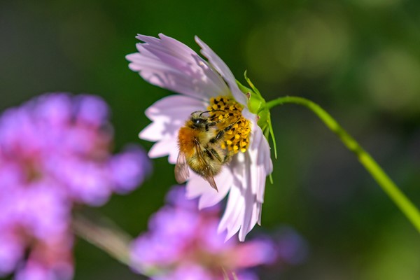 Medium property photo - Ruitersmolenweg 35, 7361 CB Beekbergen