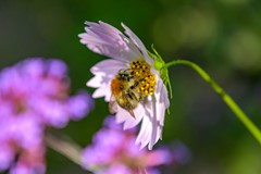 Nieuw in verkoop: Ruitersmolenweg 35, 7361 CB Beekbergen