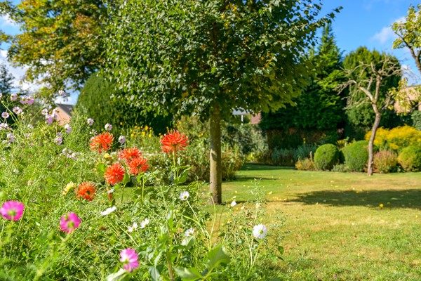 Medium property photo - Ruitersmolenweg 35, 7361 CB Beekbergen