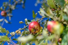 Nieuw in verkoop: Ruitersmolenweg 35, 7361 CB Beekbergen