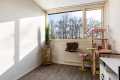 Nieuw in verkoop: Houtsnijdershorst 419, 7328 WC Apeldoorn