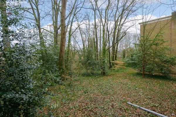 Medium property photo - Waltersingel 28, 7314 NT Apeldoorn