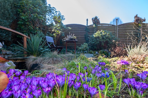 Medium property photo - Westenenkerweg 97, 7335 CV Apeldoorn