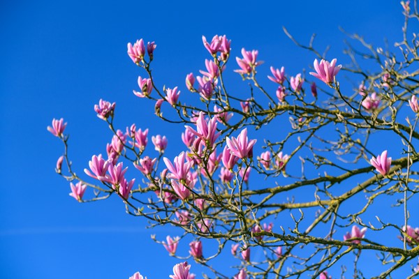 Medium property photo - Krommedijk 5, 7381 BT Klarenbeek