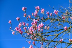 Nieuw in verkoop: Krommedijk 5, 7381 BT Klarenbeek