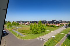 Verkocht onder voorbehoud: Kastanjeboleet, 7324 CP Apeldoorn