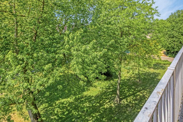 Medium property photo - Witte de Withstraat 71, 4535 AN Terneuzen