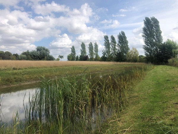 Medium property photo - Spui, 4571 SL Axel