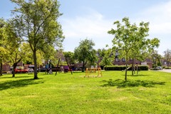 OudeVaart224537CATerneuzenNL-33.jpg
