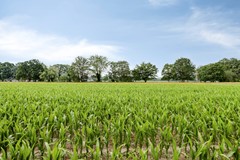 Kerkstraat674567CJClinge-55.jpg