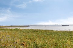 Veerdijk34588paWalsoorden-46.jpg