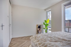 Foto - Diezestraat294535EKTerneuzen-18.jpg
