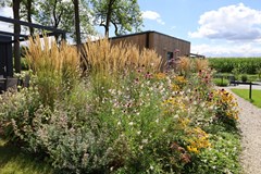 Koop: Vosseveldseweg 8, 7107 AD Kotten