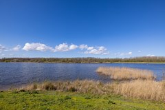 Koop: Reeveweg 154, 8265 PR Kampen