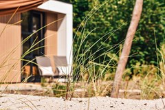 preprocessed (16).jpeg