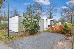 EP Hooge Veluwe - kavel V8 - 21.jpg