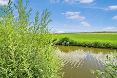 Westerkogge - kavel 62 - 03.jpg