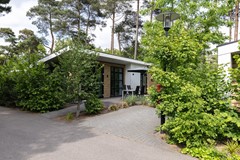 Foto-1.jpg