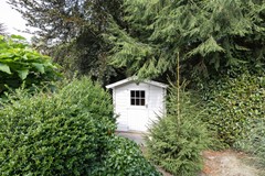 Foto-5.jpg