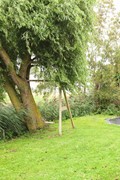 Zuiderdijk 28-49.jpg