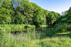 Kruiskampsingel 57-06.jpg
