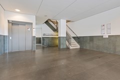 spiegeltuin 28-07.jpg