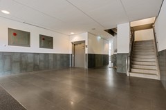 spiegeltuin 28-08.jpg