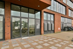 Letterhout 51 - 3.jpg