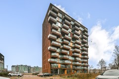 Letterhout 51 - 2.jpg