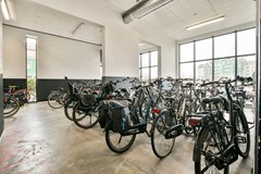 Letterhout 51 - 27.jpg