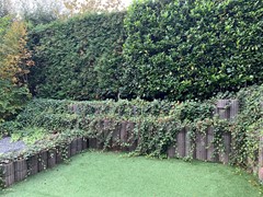 Verhuurd:Beethovenstraat, 6561 EH Groesbeek - Foto