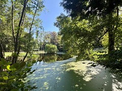 Rijksstraatweg, 6574AB Ubbergen