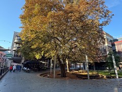 Verhuurd:Raadhuishof, 6511 PW Nijmegen - Foto