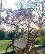 Houtsnip tuin voor.jpg