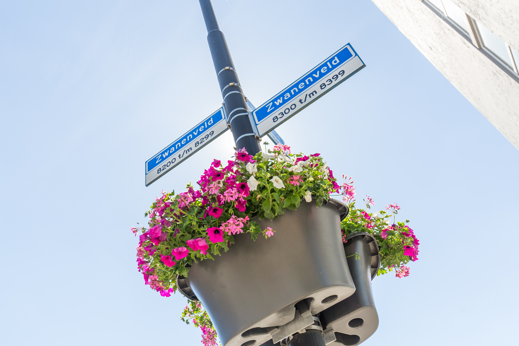 Zwanenveld, Nijmegen foto 5