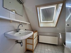IMG_0781.jpeg