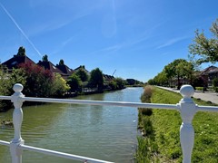 IMG_0779.jpeg