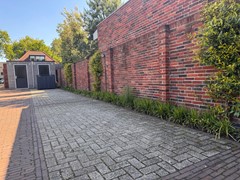 IMG_0889.jpeg