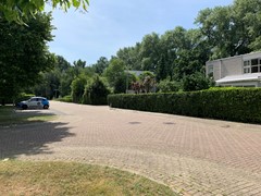 IMG_4112.jpg