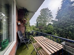 IMG_1093.jpeg