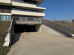IMG_3784.jpg