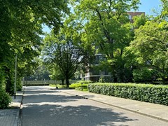 IMG_7854.jpg