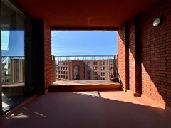 IMG_7094.jpg