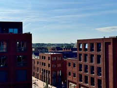 IMG_7089.jpg