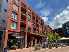 IMG_6269.jpg
