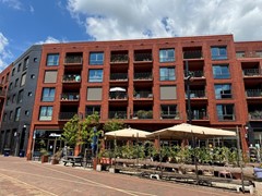 IMG_6293.jpg