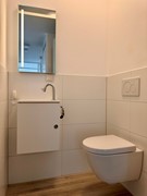 IMG_1197.jpeg