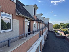 IMG_1178.jpeg