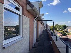 IMG_1183.jpeg