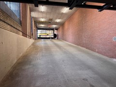 IMG_1172.jpeg